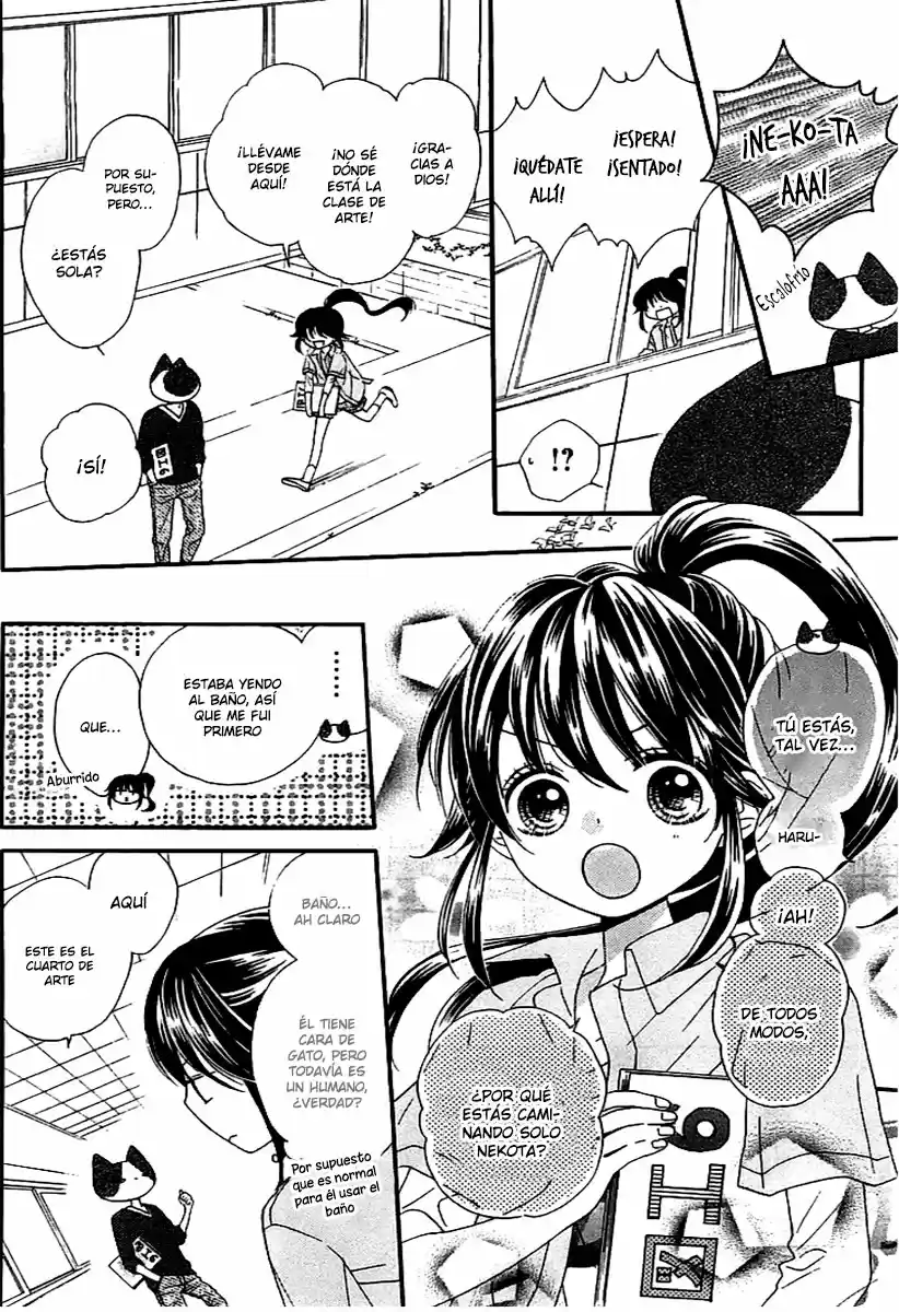NEKOTA NO KOTO GA KI NI NATTE SHIKATANAI - Capítulo 2 - Página 24 - LectorTMOo