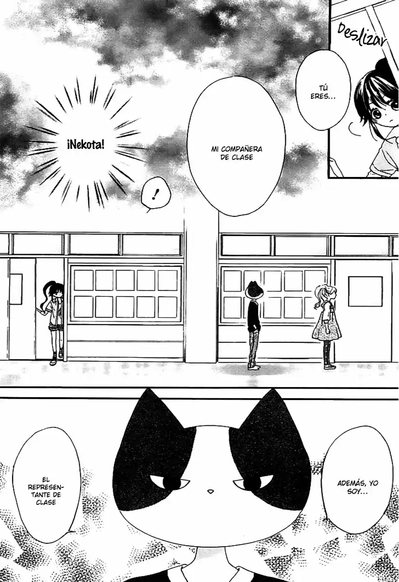 NEKOTA NO KOTO GA KI NI NATTE SHIKATANAI - Capítulo 2 - Página 32 - LectorTMOo