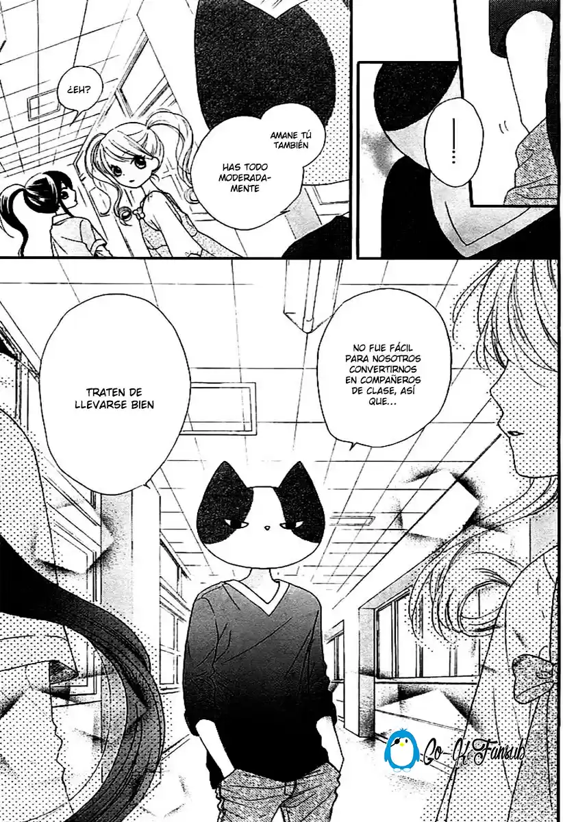 NEKOTA NO KOTO GA KI NI NATTE SHIKATANAI - Capítulo 2 - Página 39 - LectorTMOo