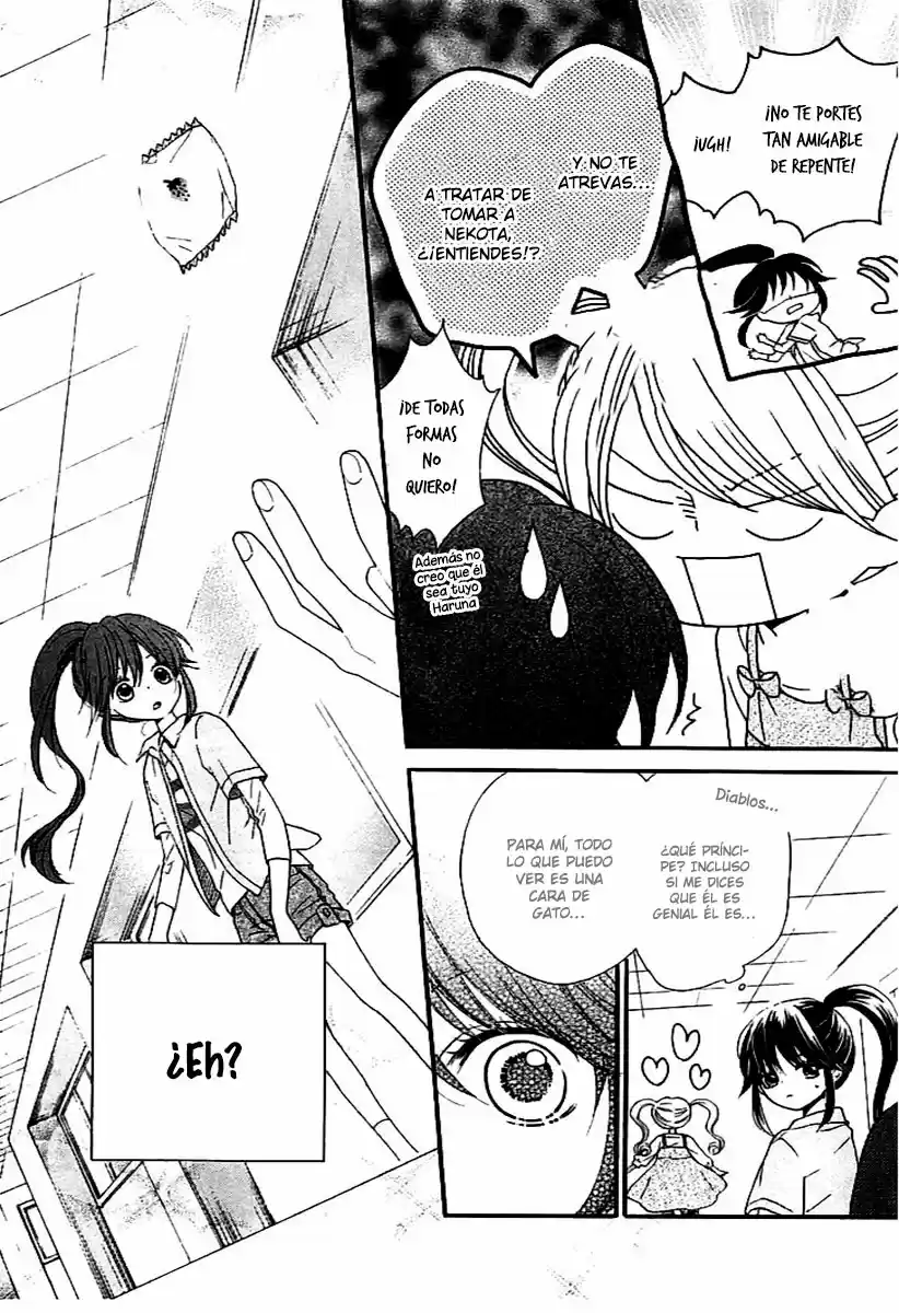 NEKOTA NO KOTO GA KI NI NATTE SHIKATANAI - Capítulo 2 - Página 42 - LectorTMOo