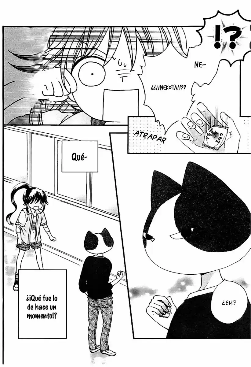 NEKOTA NO KOTO GA KI NI NATTE SHIKATANAI - Capítulo 2 - Página 45 - LectorTMOo