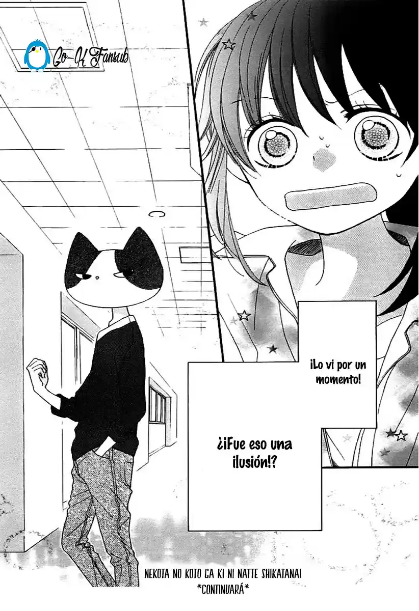 NEKOTA NO KOTO GA KI NI NATTE SHIKATANAI - Capítulo 2 - Página 46 - LectorTMOo