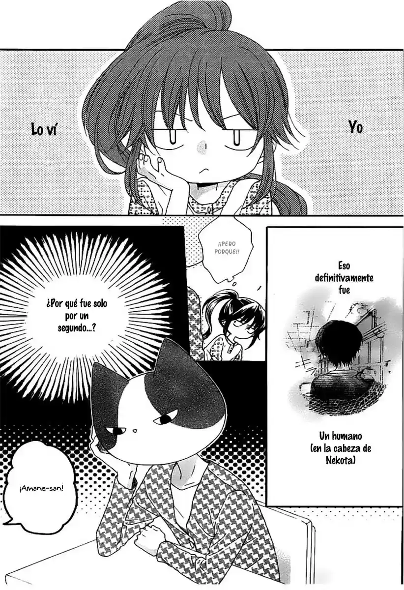 NEKOTA NO KOTO GA KI NI NATTE SHIKATANAI - Capítulo 3 - Página 5 - LectorTMOo