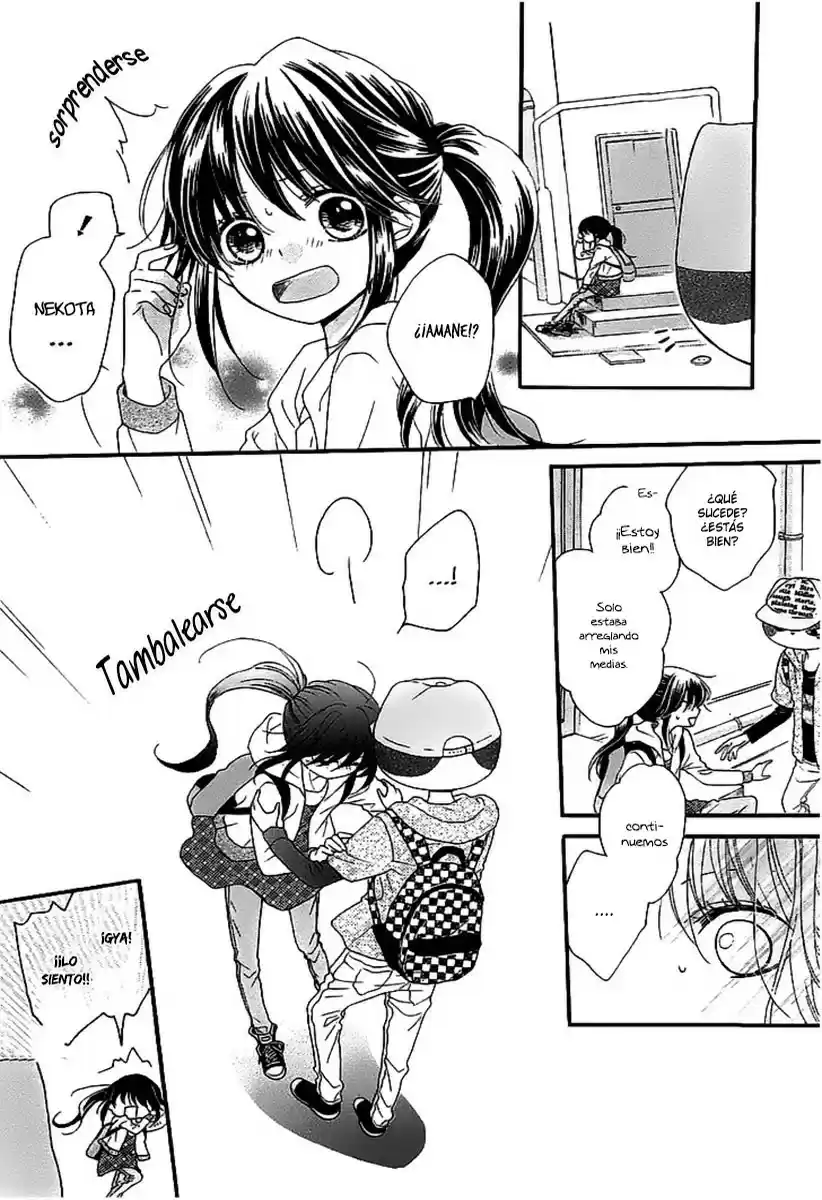 NEKOTA NO KOTO GA KI NI NATTE SHIKATANAI - Capítulo 3 - Página 26 - LectorTMOo