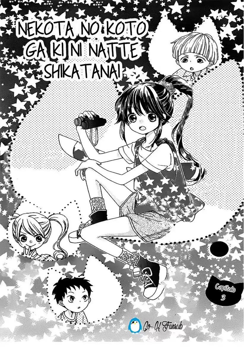 NEKOTA NO KOTO GA KI NI NATTE SHIKATANAI - Capítulo 3 - Página 37 - LectorTMOo
