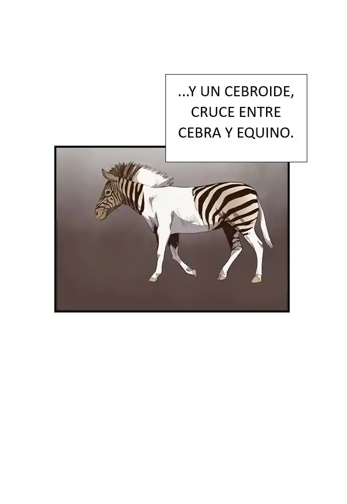 Neolith Girl - Capítulo 34 - Página 6 - LectorTMOo