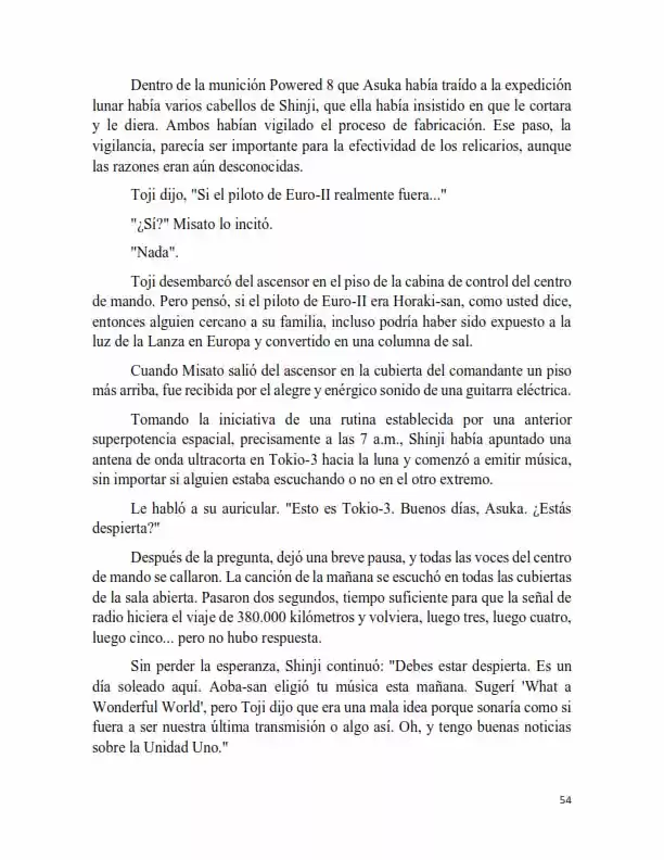 Neon Genesis Evangelion: Anima Vol. 2 (Novela) - Capítulo 13 - Página 2 - LectorTMOo
