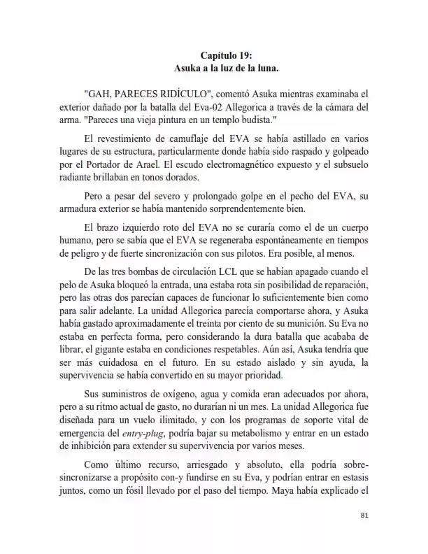 Neon Genesis Evangelion: Anima Vol. 2 (Novela) - Capítulo 19 - Página 2 - LectorTMOo