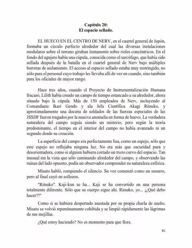 Neon Genesis Evangelion: Anima Vol. 2 (Novela) - Capítulo 20 - Página 2 - LectorTMOo