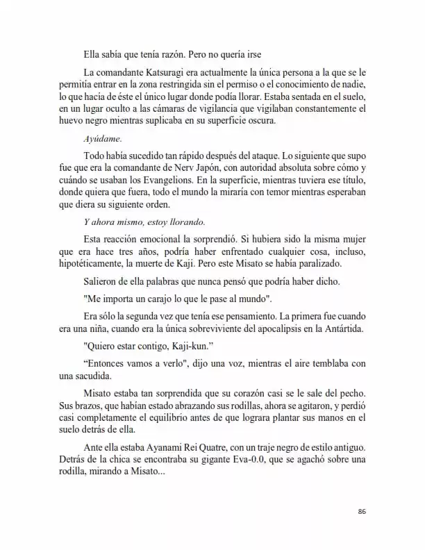 Neon Genesis Evangelion: Anima Vol. 2 (Novela) - Capítulo 20 - Página 3 - LectorTMOo