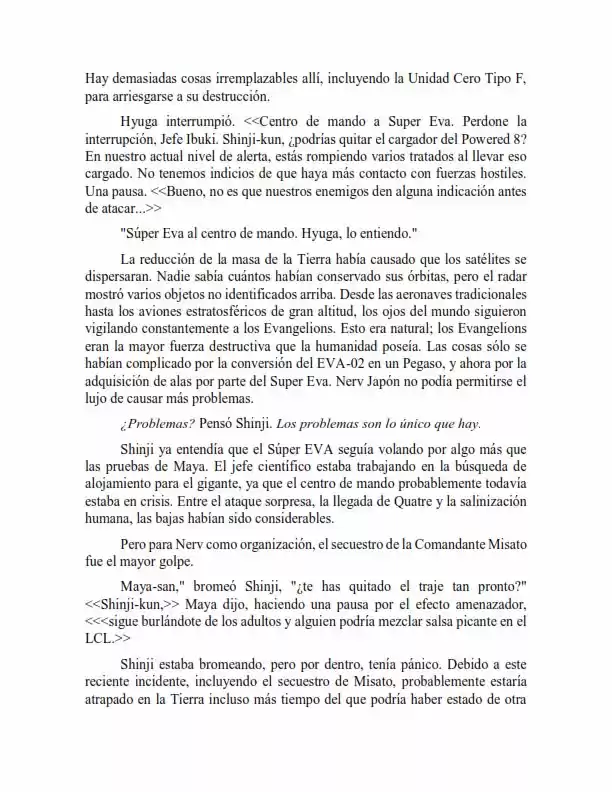 Neon Genesis Evangelion: Anima Vol. 2 (Novela) - Capítulo 30 - Página 4 - LectorTMOo