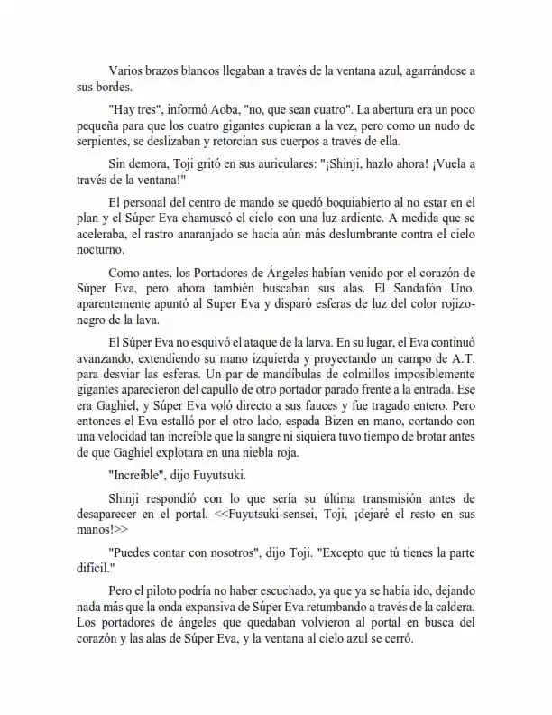 Neon Genesis Evangelion: Anima Vol. 2 (Novela) - Capítulo 38 - Página 5 - LectorTMOo