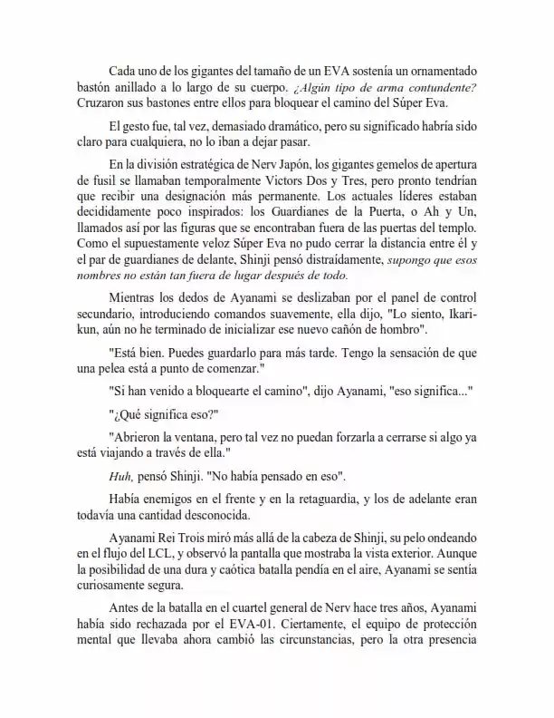 Neon Genesis Evangelion: Anima Vol. 2 (Novela) - Capítulo 39 - Página 3 - LectorTMOo