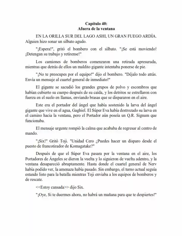 Neon Genesis Evangelion: Anima Vol. 2 (Novela) - Capítulo 40 - Página 1 - LectorTMOo