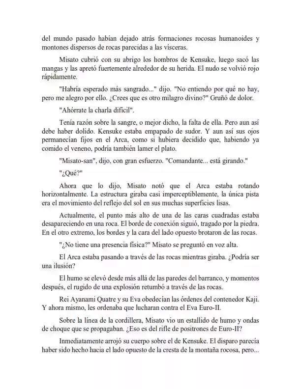 Neon Genesis Evangelion: Anima Vol. 2 (Novela) - Capítulo 43 - Página 3 - LectorTMOo