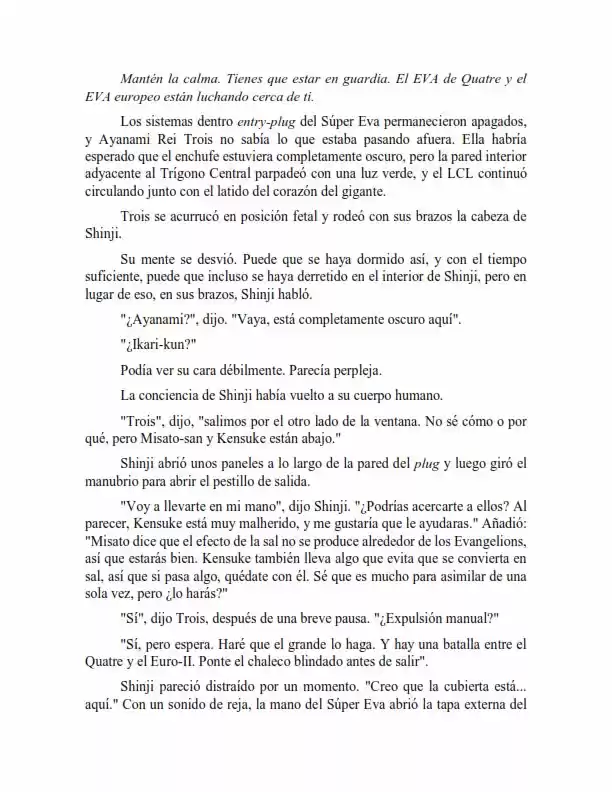Neon Genesis Evangelion: Anima Vol. 2 (Novela) - Capítulo 48 - Página 3 - LectorTMOo