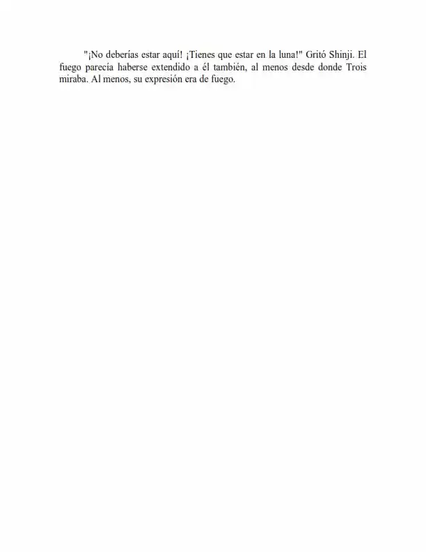 Neon Genesis Evangelion: Anima Vol. 2 (Novela) - Capítulo 49 - Página 4 - LectorTMOo