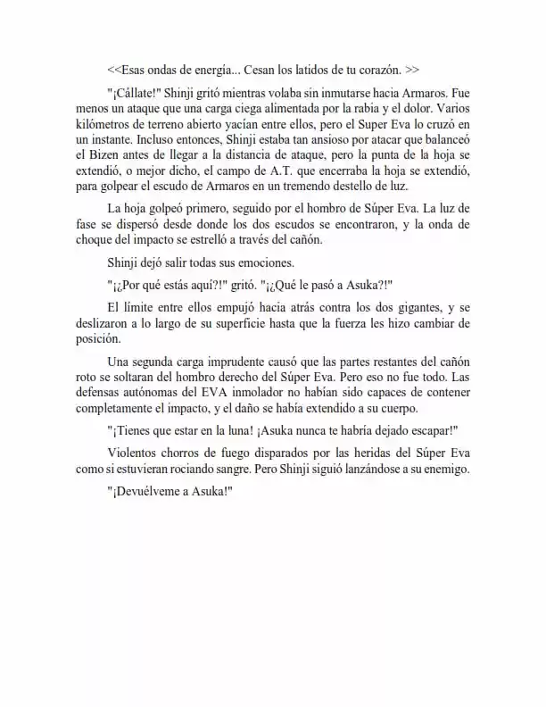 Neon Genesis Evangelion: Anima Vol. 2 (Novela) - Capítulo 49 - Página 9 - LectorTMOo