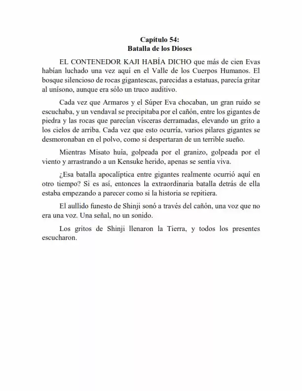 Neon Genesis Evangelion: Anima Vol. 2 (Novela) - Capítulo 54 - Página 1 - LectorTMOo