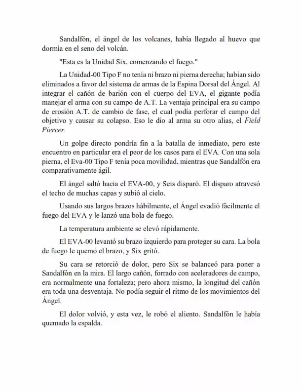 Neon Genesis Evangelion: Anima Vol. 2 (Novela) - Capítulo 58 - Página 9 - LectorTMOo