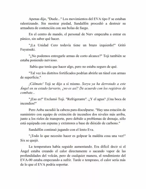 Neon Genesis Evangelion: Anima Vol. 2 (Novela) - Capítulo 58 - Página 10 - LectorTMOo