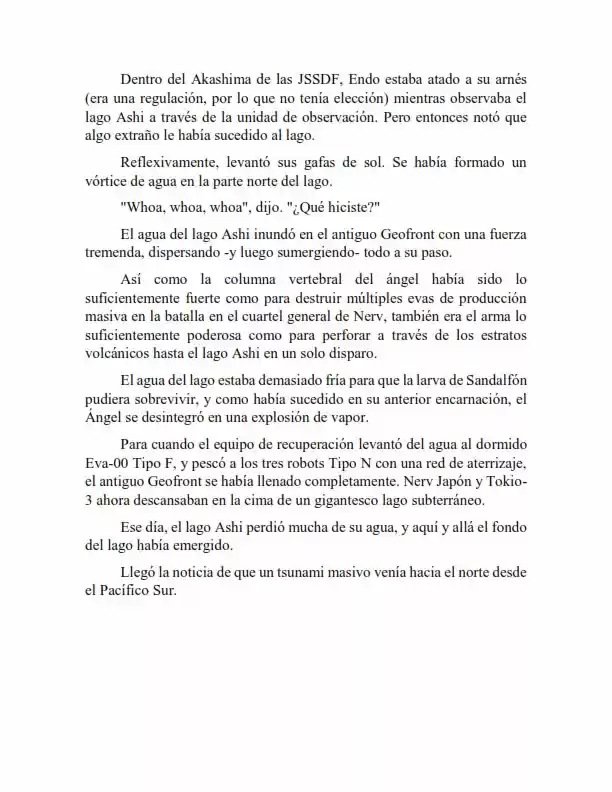 Neon Genesis Evangelion: Anima Vol. 2 (Novela) - Capítulo 58 - Página 13 - LectorTMOo