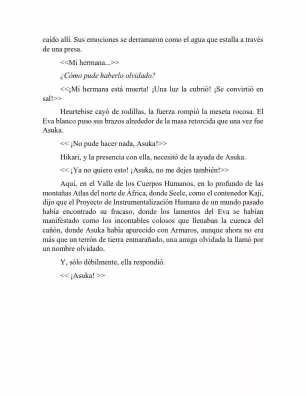 Neon Genesis Evangelion: Anima Vol. 2 (Novela) - Capítulo 60 - Página 4 - LectorTMOo