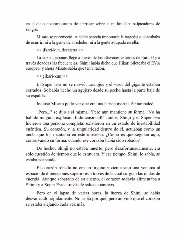 Neon Genesis Evangelion: Anima Vol. 2 (Novela) - Capítulo 61 - Página 1 - LectorTMOo