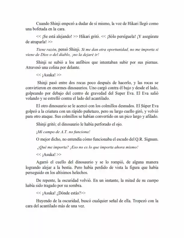 Neon Genesis Evangelion: Anima Vol. 2 (Novela) - Capítulo 61 - Página 9 - LectorTMOo