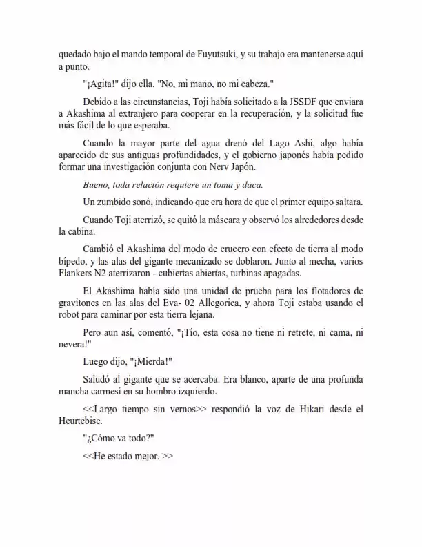 Neon Genesis Evangelion: Anima Vol. 2 (Novela) - Capítulo 62 - Página 4 - LectorTMOo