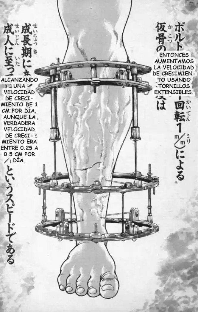 New Grappler Baki - Capítulo 116 - Página 23 - LectorTMOo