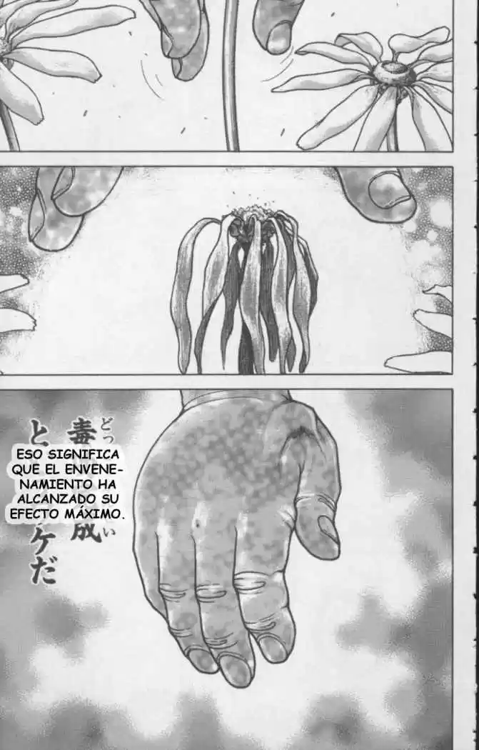 New Grappler Baki - Capítulo 131 - Página 17 - LectorTMOo
