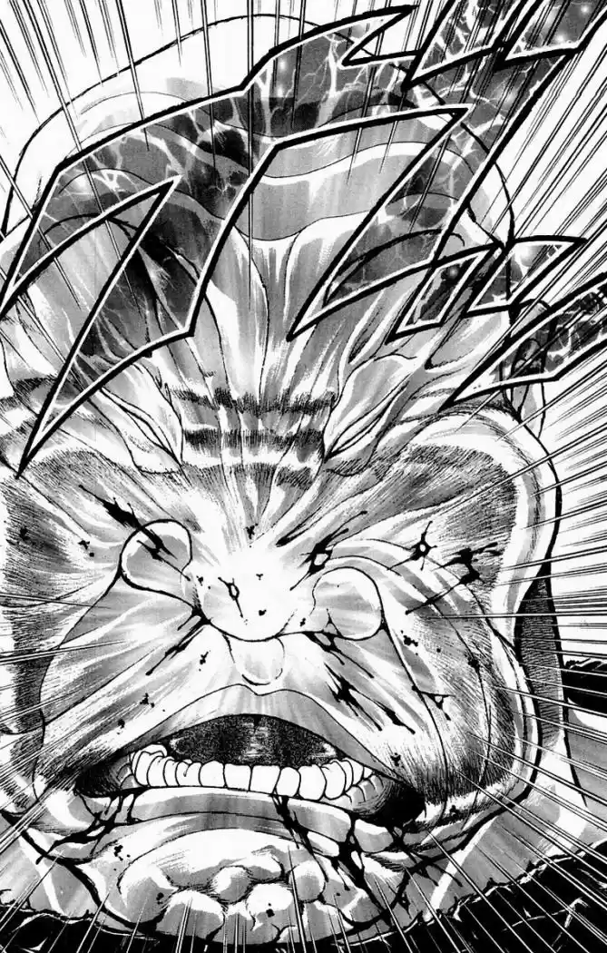 New Grappler Baki - Capítulo 35 - Página 15 - LectorTMOo
