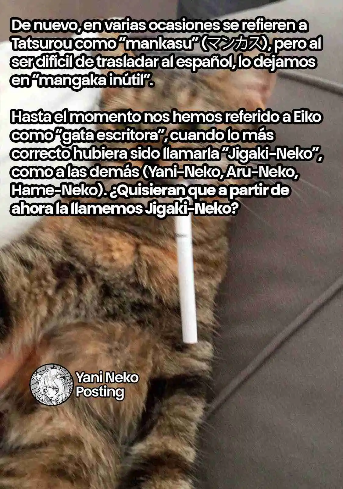 NICOTINEKO - Capítulo 103 - Página 5 - LectorTMOo