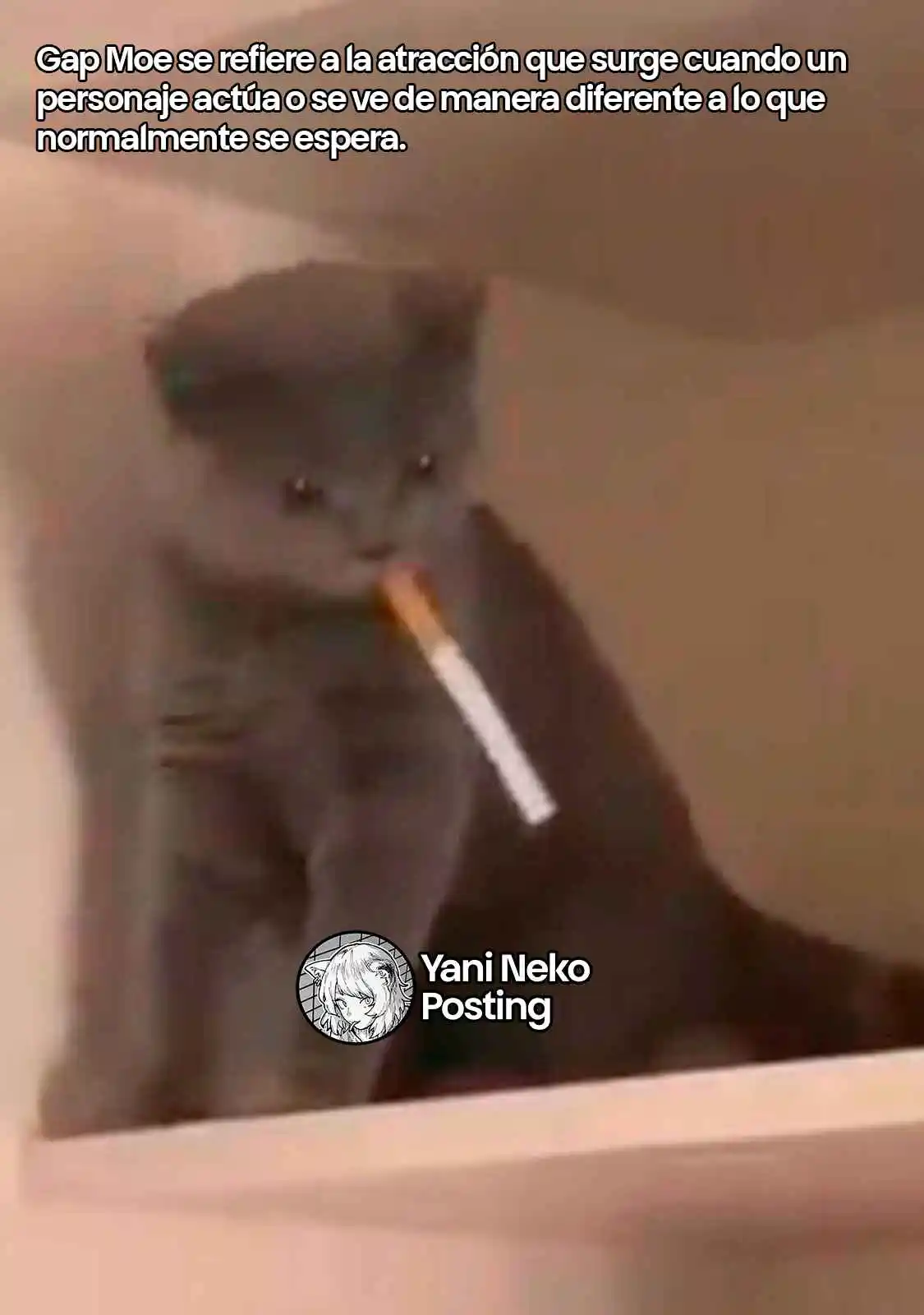 NICOTINEKO capítulo 105 página 5