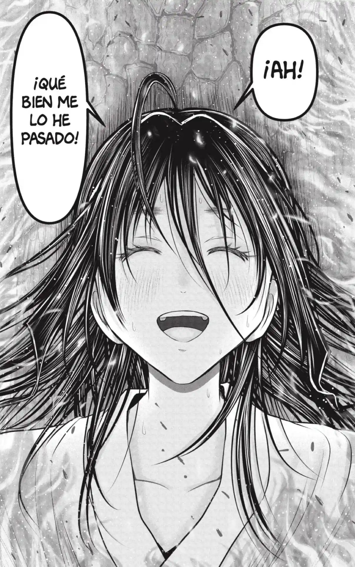 Nige Jōzu No Wakagimi - Capítulo 236 - Página 15 - LectorTMOo