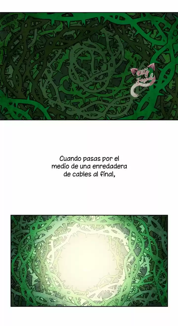 Night Crying Crow - Capítulo 15 - Página 24 - LectorTMOo