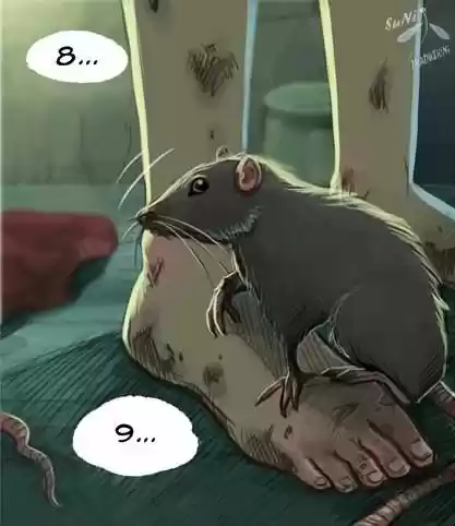 Nine Stones - Capítulo 6 - Página 5 - LectorTMOo
