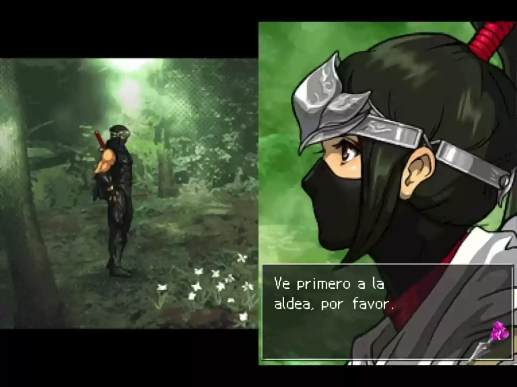 Ninja Gaiden - Capítulo 1 - Página 22 - LectorTMOo