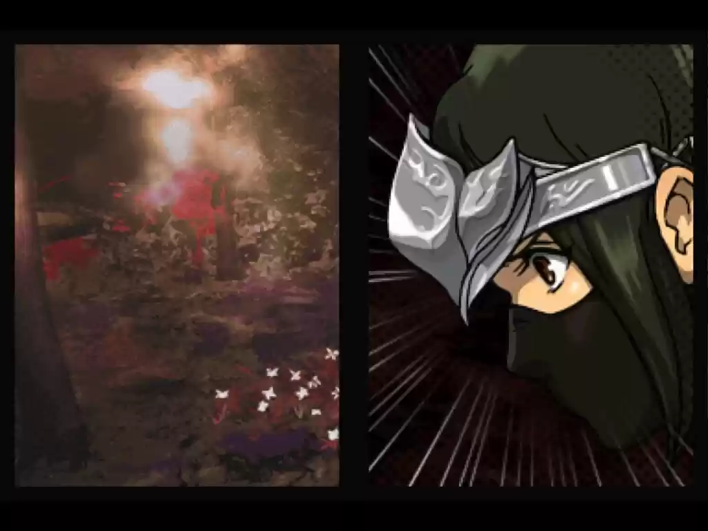 Ninja Gaiden - Capítulo 2 - Página 11 - LectorTMOo