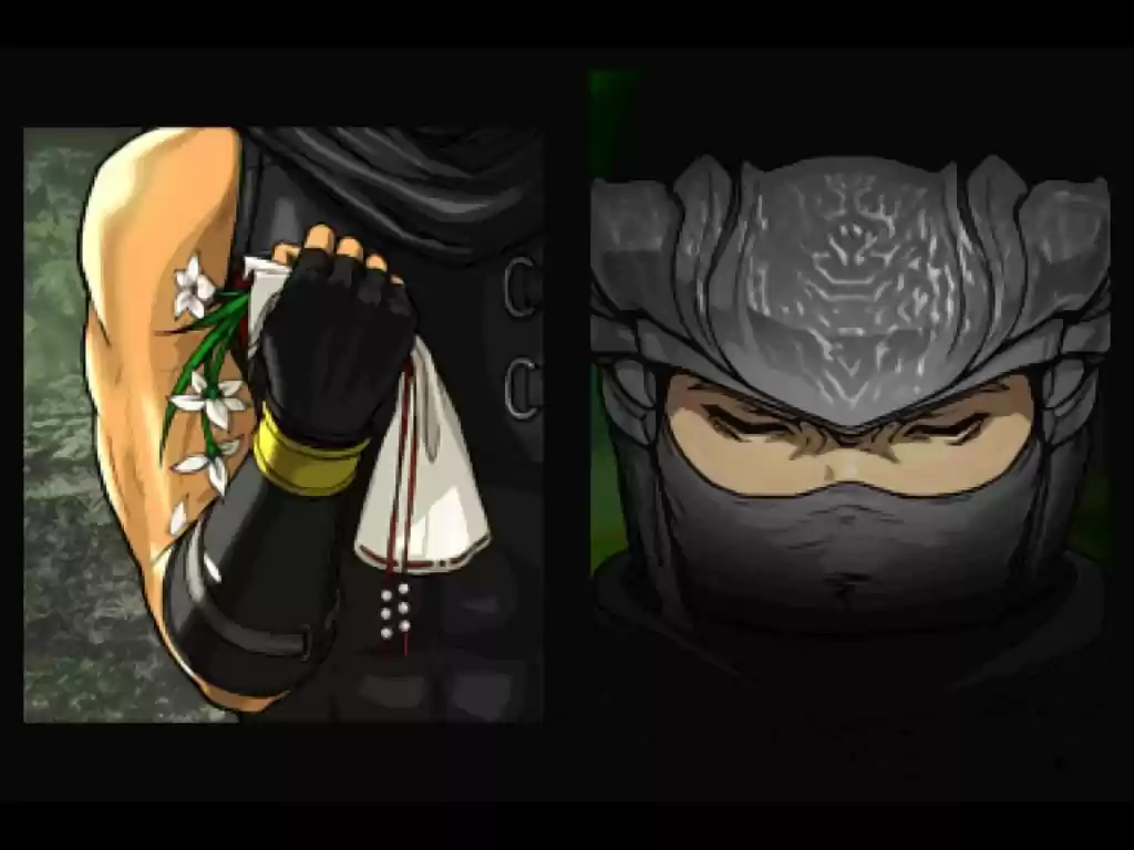 Ninja Gaiden - Capítulo 2 - Página 27 - LectorTMOo