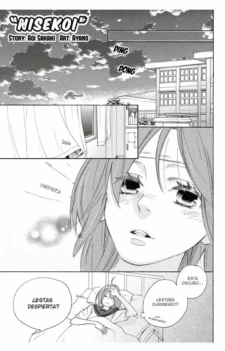 NISEKOI DOUMEI - Capítulo 33 - Página 2 - LectorTMOo