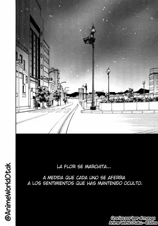 NISEKOI DOUMEI - Capítulo 62 - Página 14 - LectorTMOo