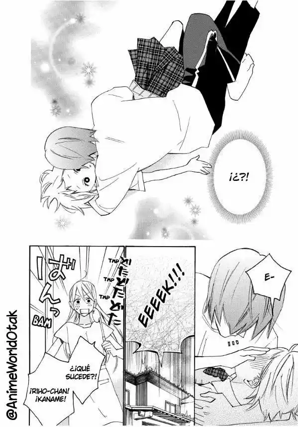 NISEKOI DOUMEI - Capítulo 64 - Página 6 - LectorTMOo