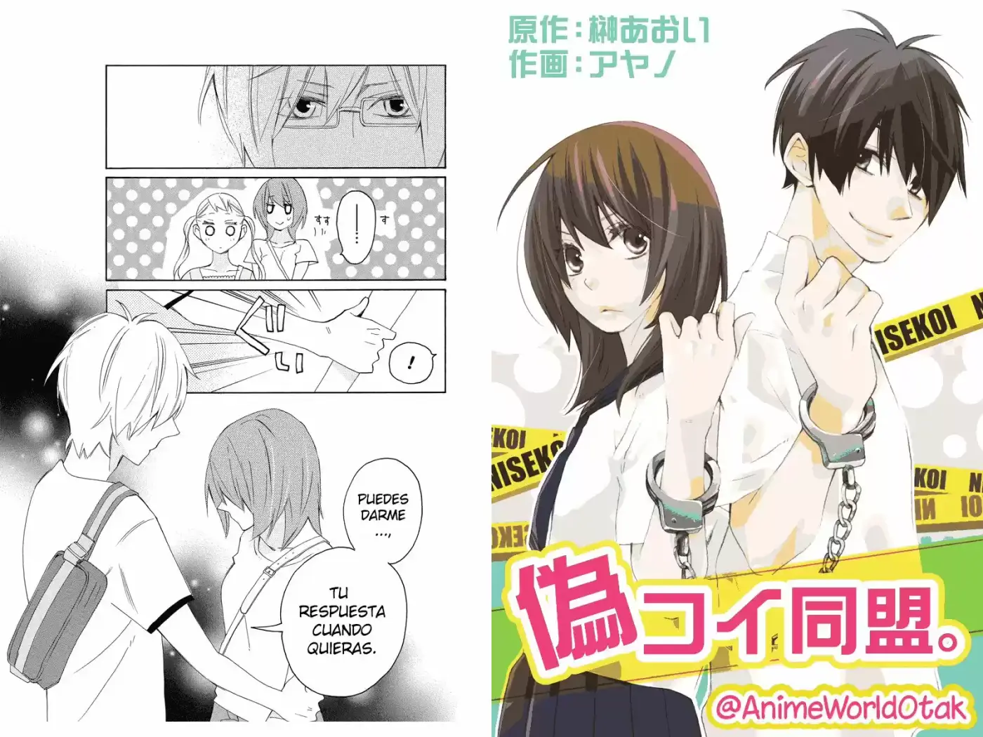 NISEKOI DOUMEI - Capítulo 74 - Página 2 - LectorTMOo