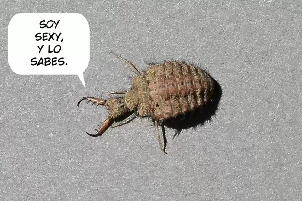 No Importa Como Lo Vea, ¡es Culpa Suya Que Yo No Sea Popular! - Capítulo 150 - Página 9 - LectorTMOo