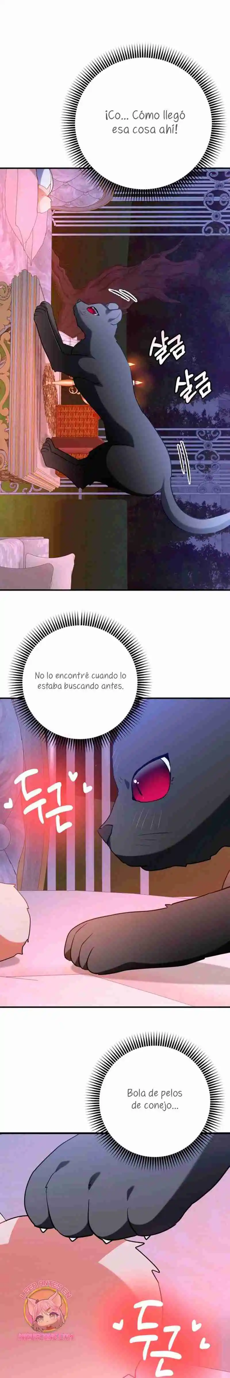 ¡No Puedes Conformarte Con Un Esposo Conejo! - Capítulo 2 - Página 17 - LectorTMOo