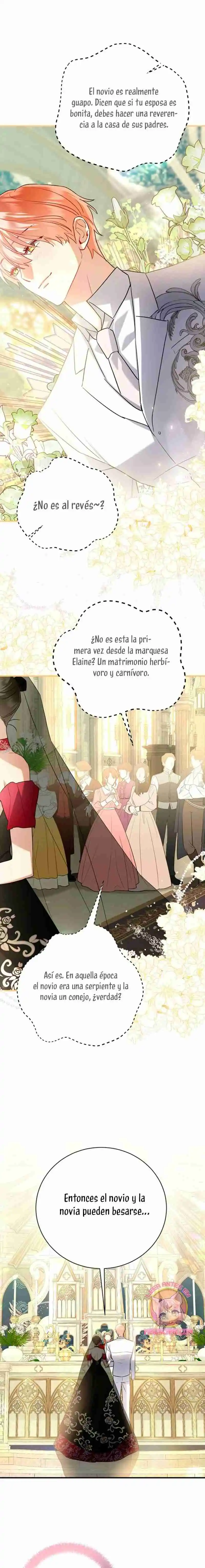 ¡No Puedes Conformarte Con Un Esposo Conejo! - Capítulo 3 - Página 22 - LectorTMOo