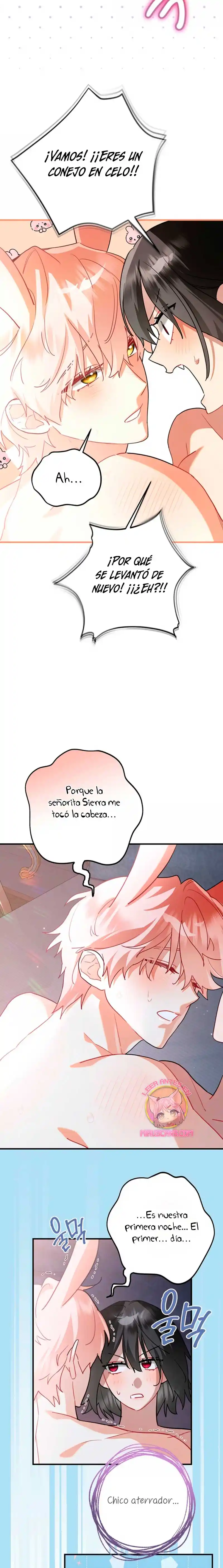 ¡No Puedes Conformarte Con Un Esposo Conejo! - Capítulo 6 - Página 6 - LectorTMOo