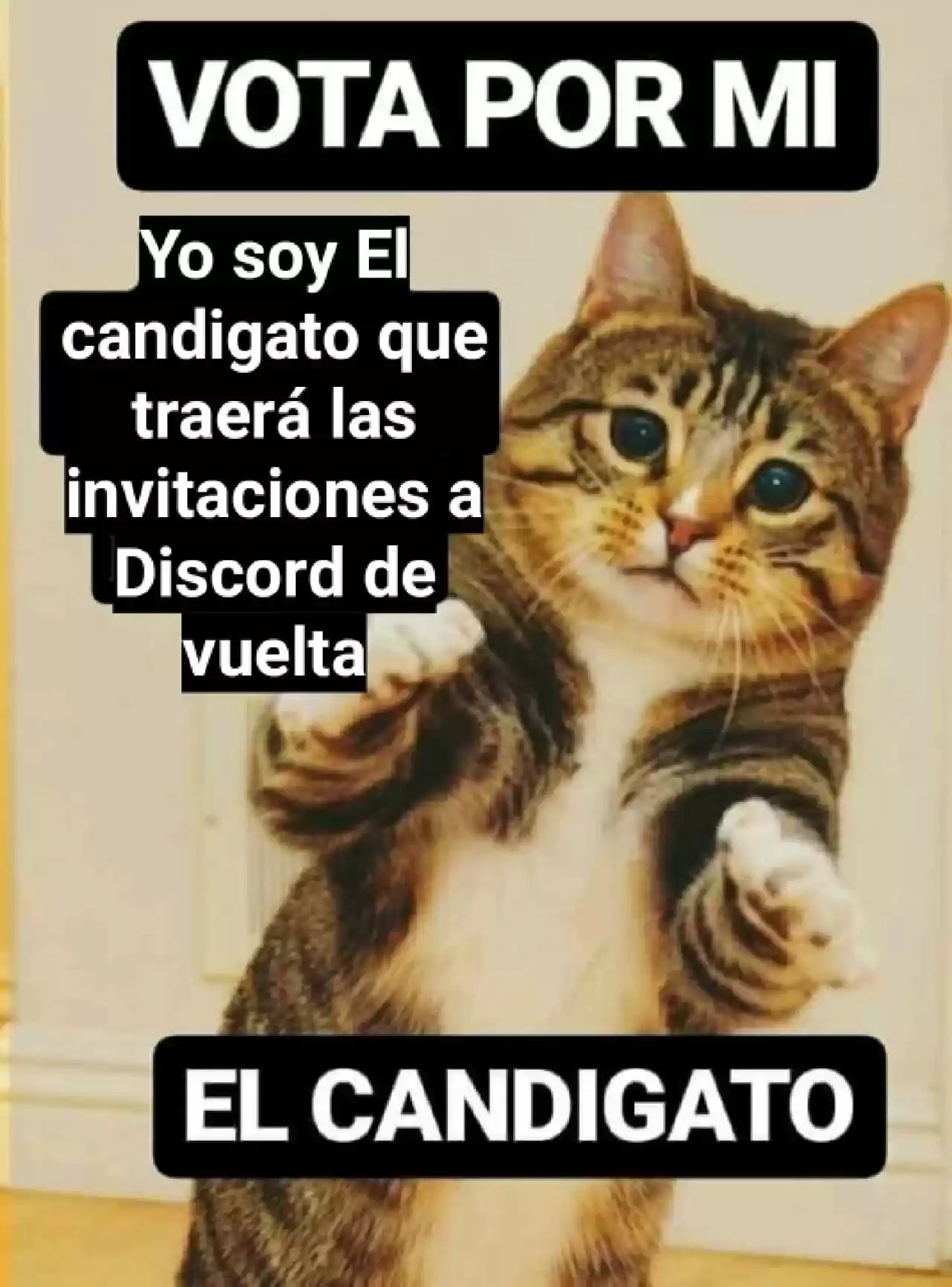 No Subestimes Al Personaje De Apoyo - Capítulo 103 - Página 59 - LectorTMOo
